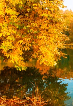 Beautiful colors of autumn landscape by the lake