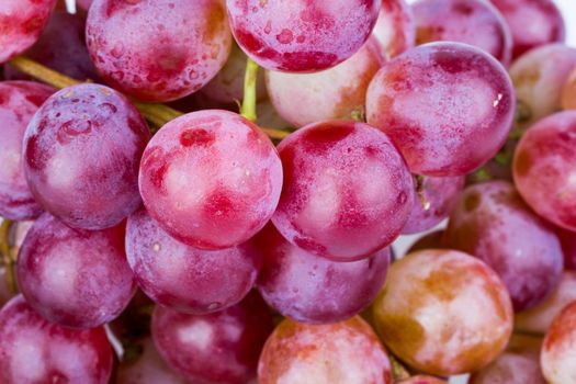 Fresh bunch of red grape on white background