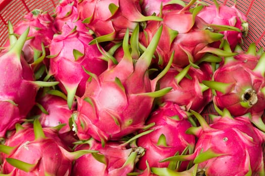 Lots of dragon fruit in red basket.