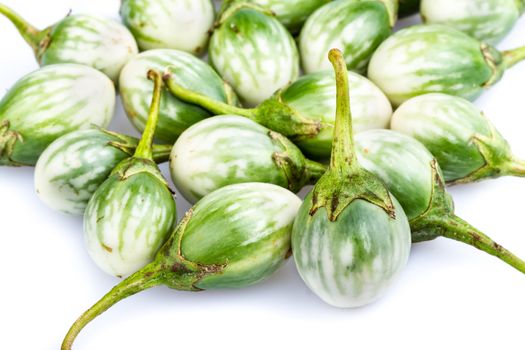 Pile of Small eggplant - CHIONATHUS PARKINONII