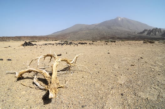 Sand and Rocks Desert on Teide Volcano, in Canary Islands, Spain