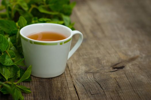 A cup of mint tea on wood textured background