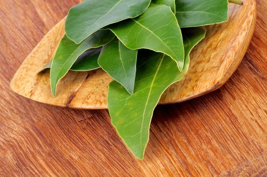 Heap of Bay Laurel Leaves in Wooden Spoon closeup on Wooden background