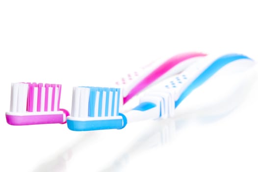 two toothbrushes are on white background