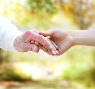 Holding hands with senior on autumn yellow foliage background