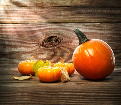 Pumpkins and squashes on rustic wooden boards with autumn leaves