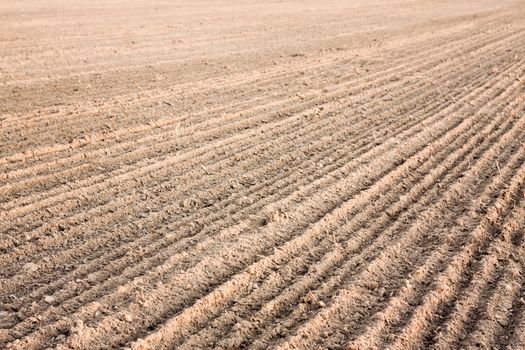 Background of newly plowed field ready for new crops. Ploughed field in autumn. Farm, agricultural background