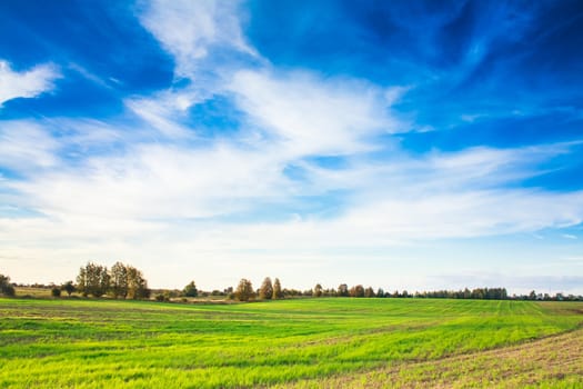 Green grass field and bright blue sky