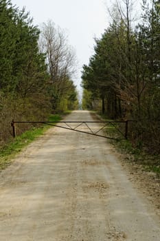 dirt road of the forest with barrier