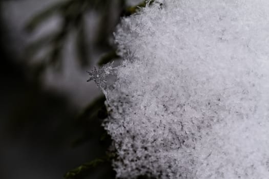 beauty white snowflake crystals on dark background