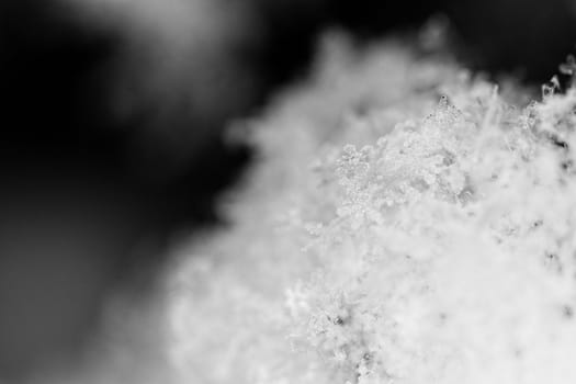 beauty white snowflake crystals on dark background