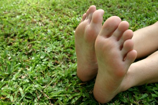 Bear feet with green grass background.