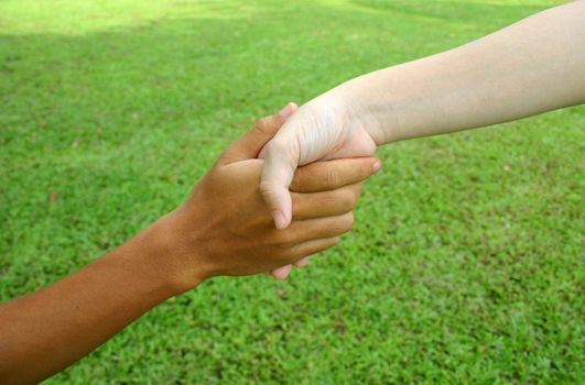 Two hands shaking with green grass background.