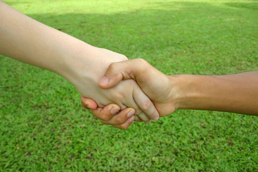 Two hands shaking with green grass background.