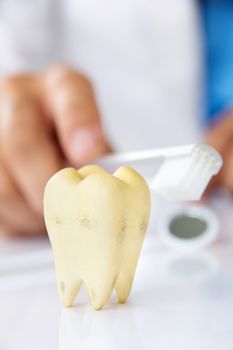 dentist holding brushing teeth, dental hygiene concept