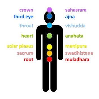 Seven colorful chakras column with their english and sanskrit name upon male black shadow in white background