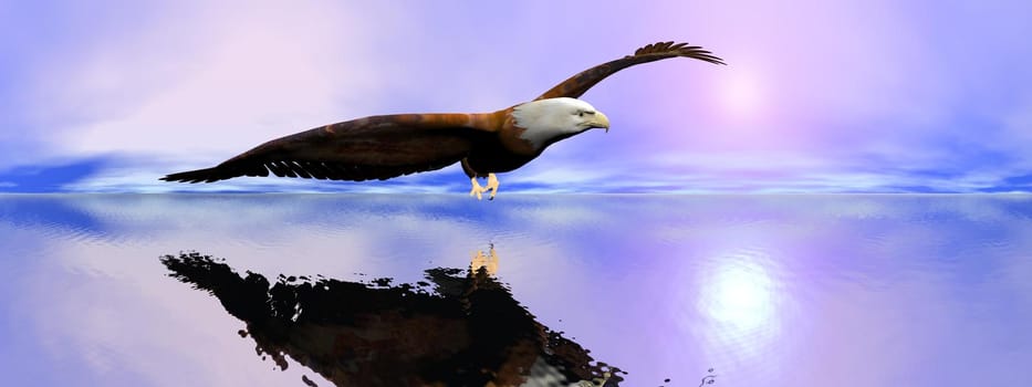 Beautiful american bald eagle flying upon ocean by sunset, 360 degrees effect