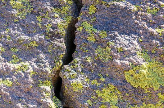 A boulder split in half and covered in greenish lichen