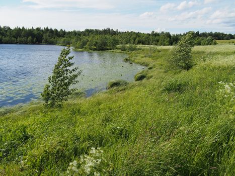 Lake in the summer