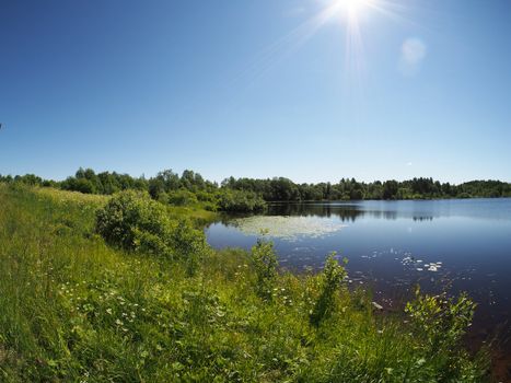 Lake in the summer