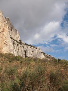 trees, sky and rock 