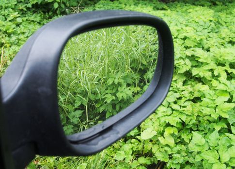 reflection in the rearview mirror