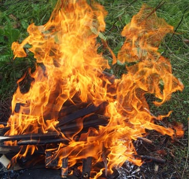 fire