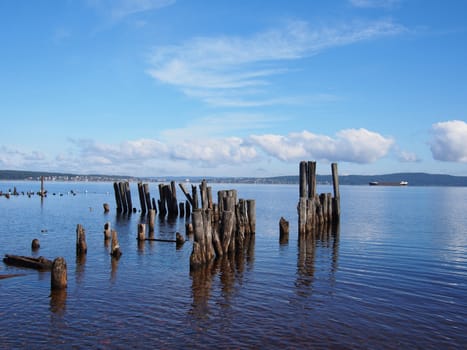 old piles in the lake
