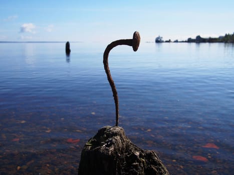 Curved nail in the old pile on the lake