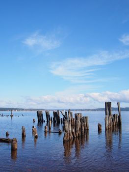 old piles in the lake