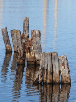 old piles in the lake