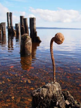 Curved nail in the old pile on the lake