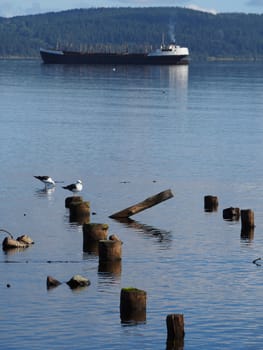 ship, piles and gulls on the lake