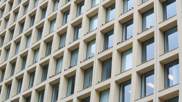 Birds resting on building