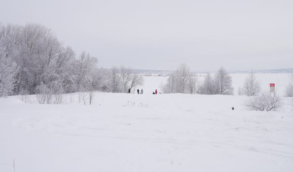 winter landscape