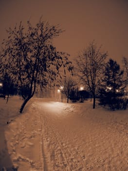 city ������nightlife