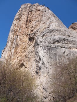 trees, sky and rock 