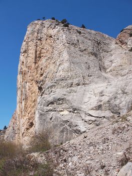 trees, sky and rock 