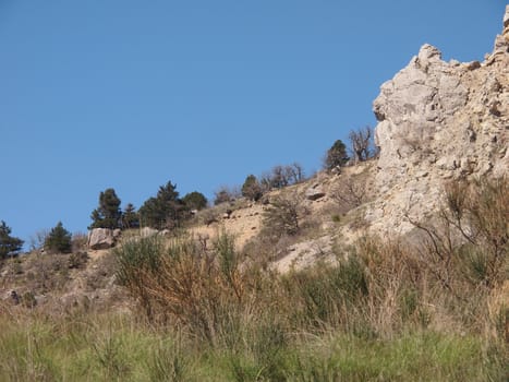 trees, sky and rock 