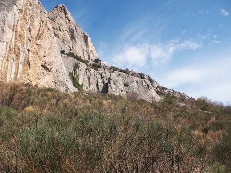 trees, sky and rock 