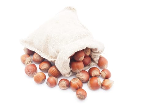 Hazelnuts in a bag on a white background