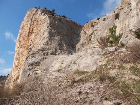 trees, sky and rock 