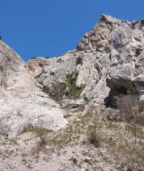 trees, sky and rock 