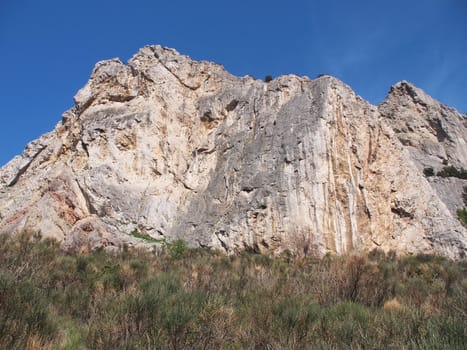 trees, sky and rock 