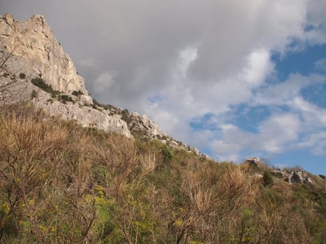 trees, sky and rock 