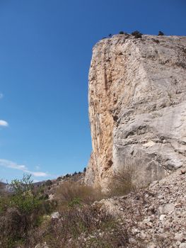 trees, sky and rock 