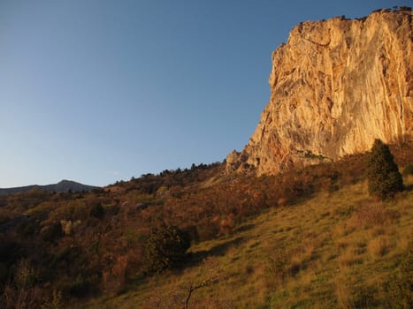 trees, sky and rock 