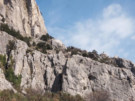 trees, sky and rock 
