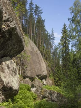 trees, sky and rock 