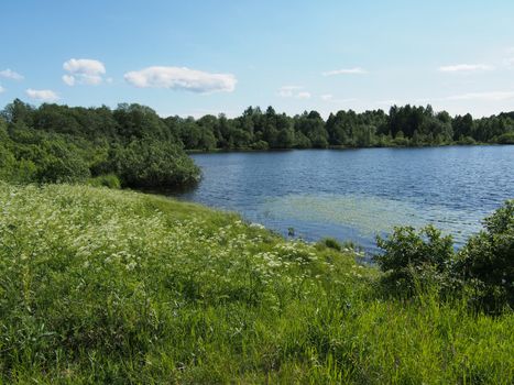 Lake in the summer